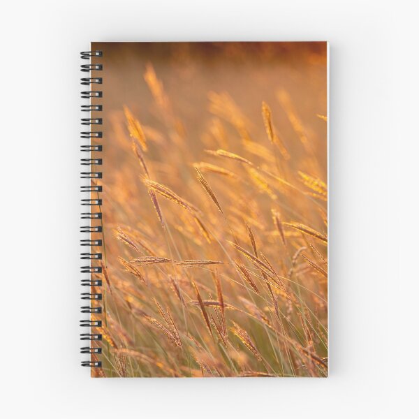Item preview, Grass landscape in the wonderful sunset light designed and sold by digoarpi.