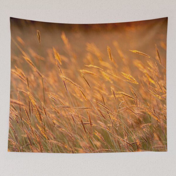 Item preview, Grass landscape in the wonderful sunset light designed and sold by digoarpi.