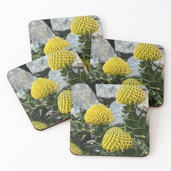 Item preview, Three Wise Plants And An Understudy designed and sold by prunellaparsnip.