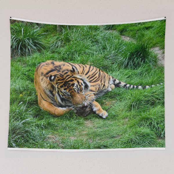 Item preview, Tiger in grass designed and sold by gabriellaksz.