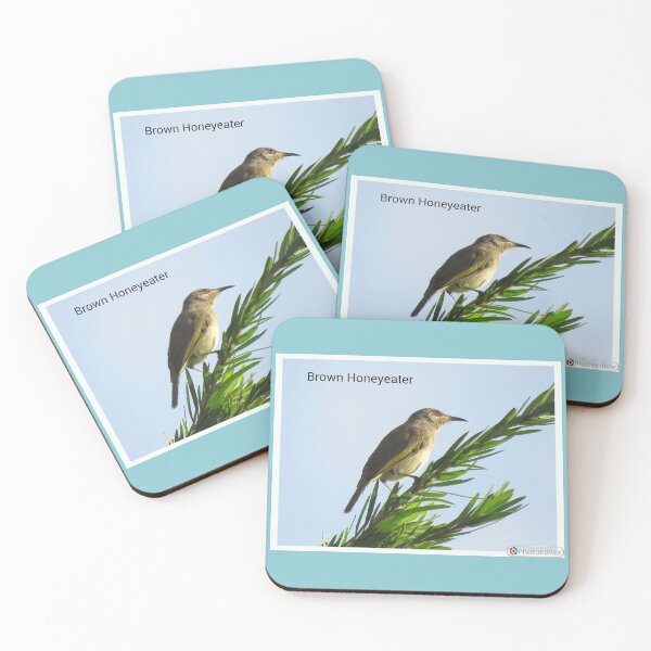Item preview, Brown Honeyeater in Forbes designed and sold by ferylgirl.