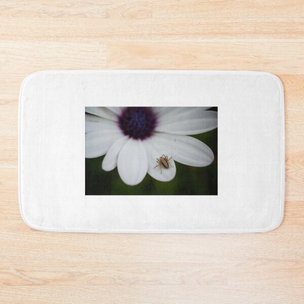 Item preview, Little Spider designed and sold by D-GaP.