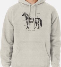Dein Pferd identifizieren Hoodie
