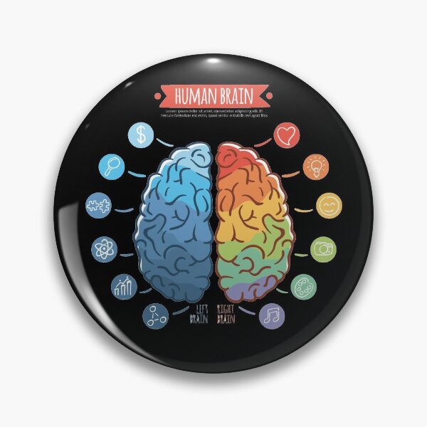 Item preview, Brain designed and sold by Vector11.