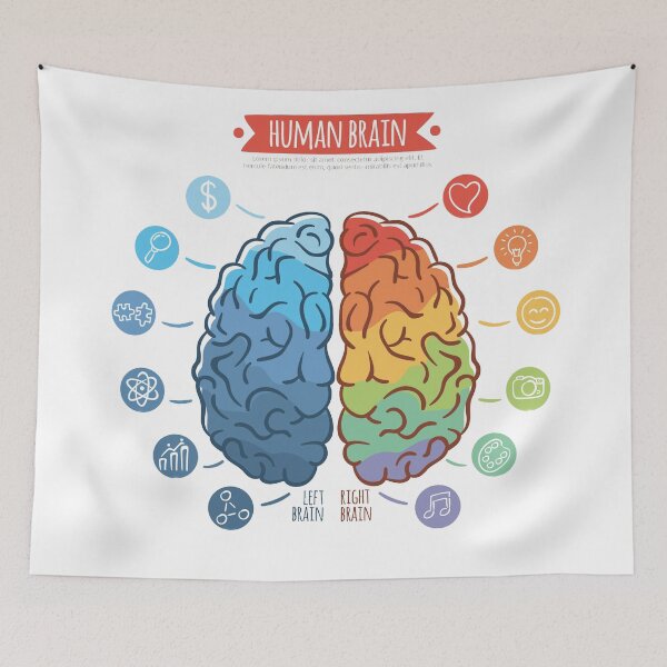 Item preview, Brain designed and sold by Vector11.