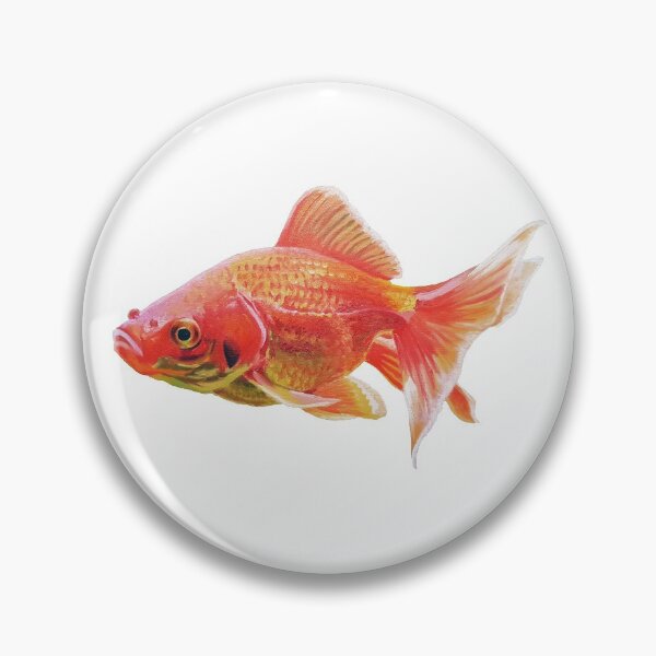 Item preview, Goldfish painting (no background) designed and sold by Emily Bickell.