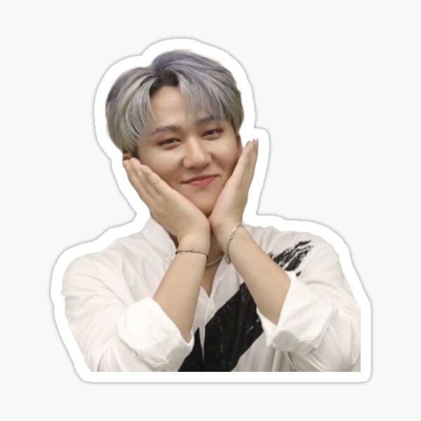 Item preview, Changbin Stray Kids designed and sold by julietap1.