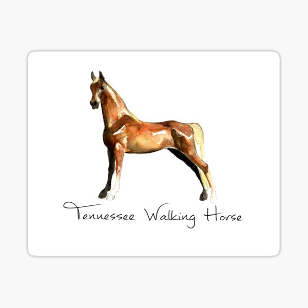 Aperçu de l'œuvre Profil de race de cheval de marche du Tennessee créée et vendue par Lavender Woodman.