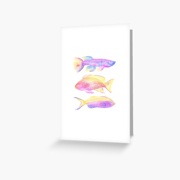 Triple Fish Colourful Watercolour  Greeting Card for Sale by  madirosedesigns