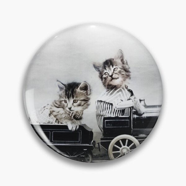 Item preview, Kittens On The Train designed and sold by billduncan.