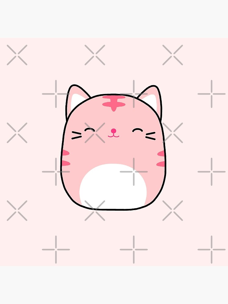 pink tabby cat squishmallow