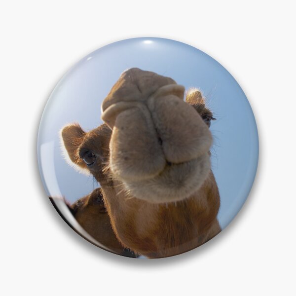 Item preview, Funny camel designed and sold by buixa2.