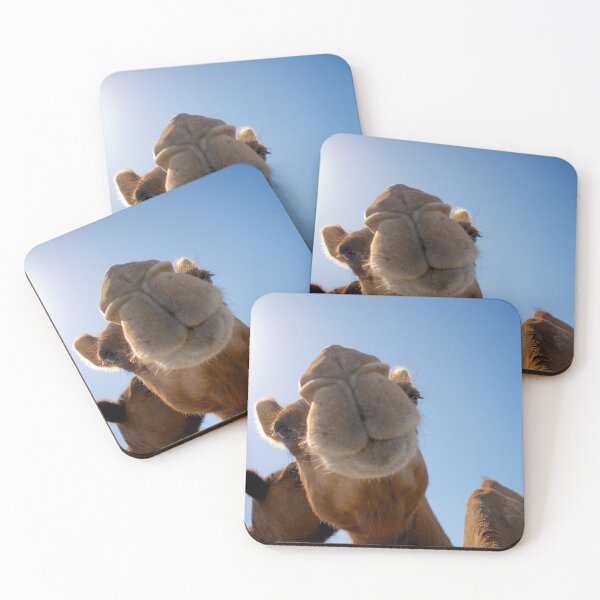 Item preview, Funny camel designed and sold by buixa2.