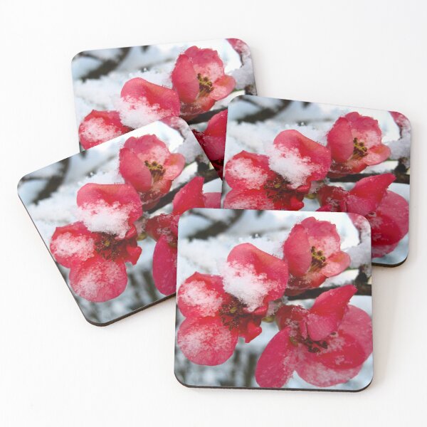 Item preview, A Flowering Quince in Winter with Snow Covered Blooms and Red Flowers designed and sold by PrettyLittlePic.