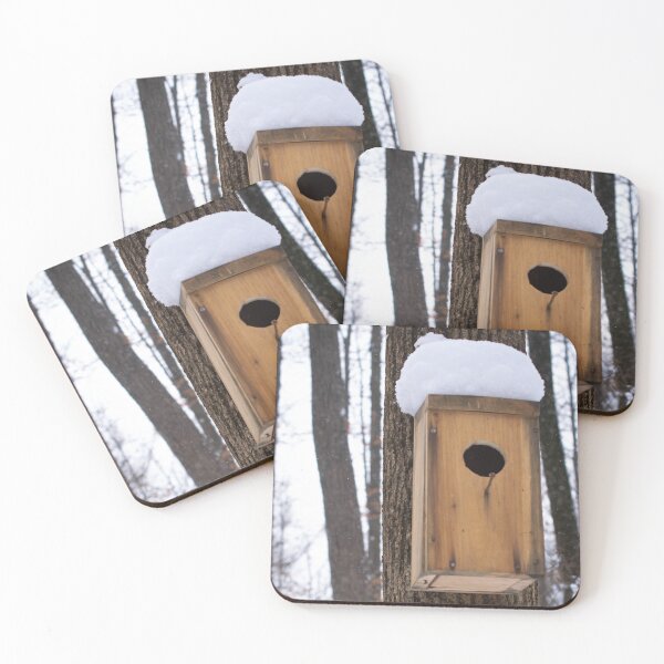 Item preview, Snowy Bird House designed and sold by JmanInABox.
