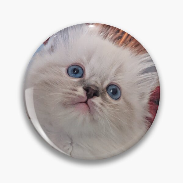 Item preview, Lynx ragdoll baby cat designed and sold by Fluffycat2020.