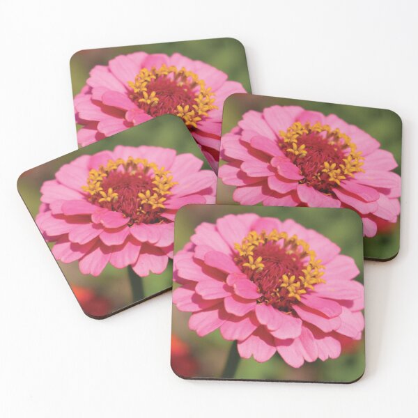 Item preview, Pretty in Pink Zinnia by Jerald Simon (musicmotivation.com) designed and sold by jeraldsimon.