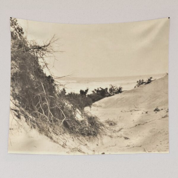Item preview, Seaside Path designed and sold by GreatTomorrow.