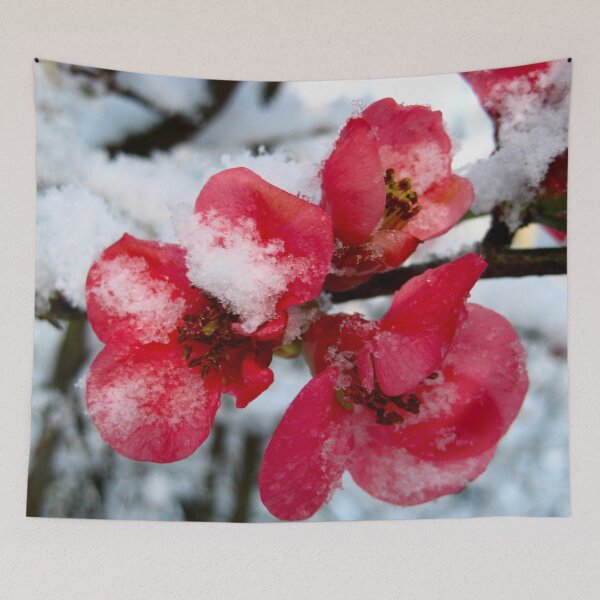 Item preview, A Flowering Quince in Winter with Snow Covered Blooms and Red Flowers designed and sold by PrettyLittlePic.