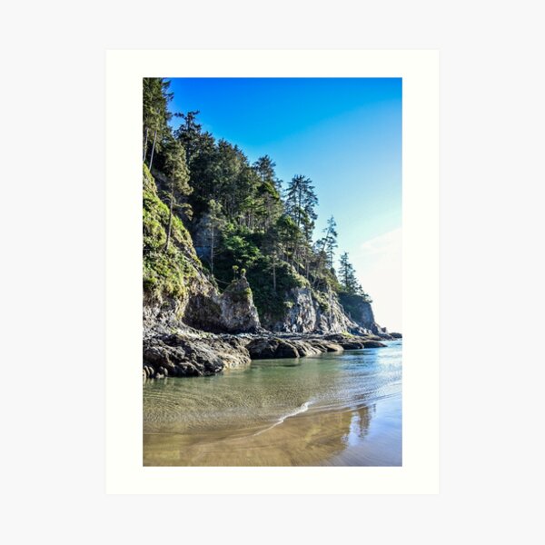 Oregon Coast Where the Trees Meet the Sea Art Print