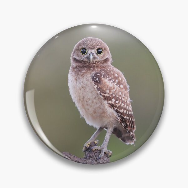 Item preview, Burrowing Owlet designed and sold by mlorenz.