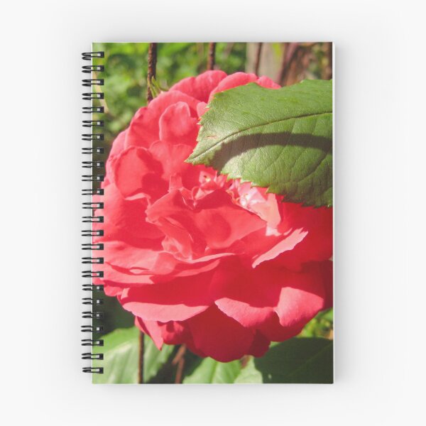 Item preview, A Single Large Red Rose with a Rusted Wire Fence Trellis  designed and sold by PrettyLittlePic.