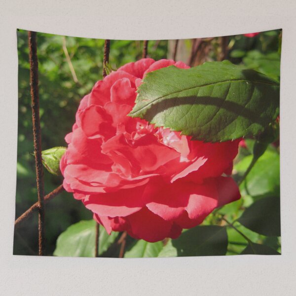 Item preview, A Single Large Red Rose with a Rusted Wire Fence Trellis  designed and sold by PrettyLittlePic.