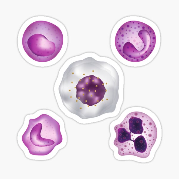 Item preview, White Blood Cell designed and sold by Pris25.