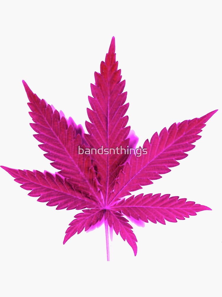 Cannabis Leaf Engraved Herb Grinder, Weed Grinder, Spice Grinder, 420,  Marijuana, Cannabis, Smoker Gift, Stoner Gift -  Ireland