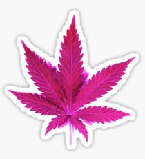 Pink Leaf ;) Sticker