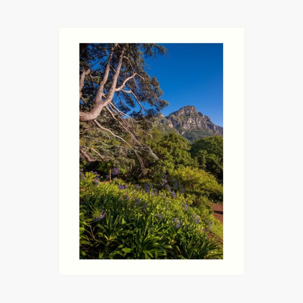 View from Kirstenbosch, South Africa Art Print