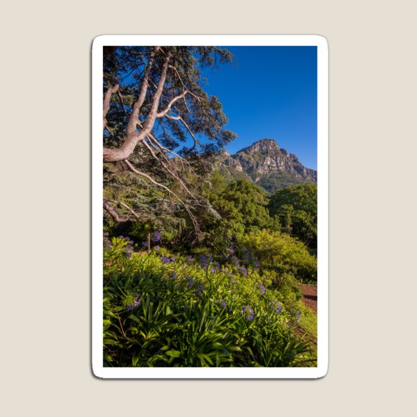 View from Kirstenbosch, South Africa Magnet