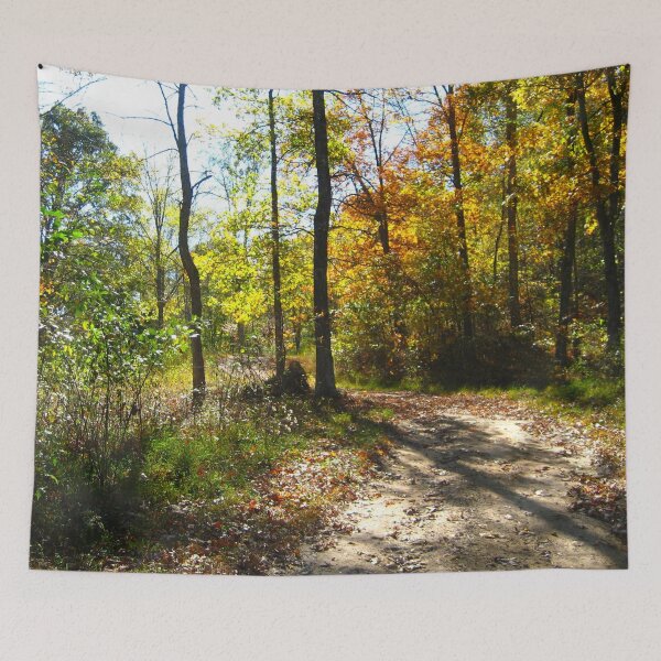 Item preview, Winding Dirt Road Mountain Path with Trees, Mountain Trails designed and sold by PrettyLittlePic.