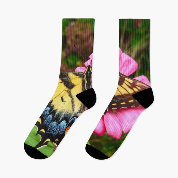 Item preview, Eastern Yellow Black and Blue Butterfly on a Pink Zinnia Flower designed and sold by PrettyLittlePic.