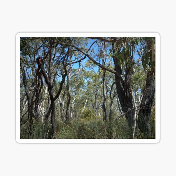 Item preview, Off The Moores Road Track designed and sold by Ben Loveday.