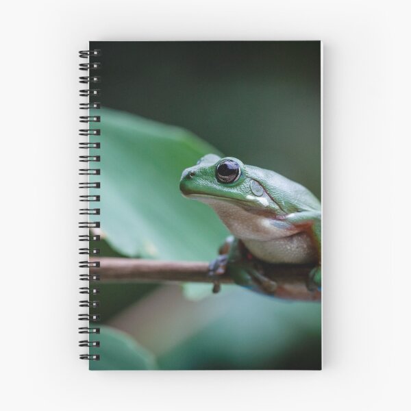 Item preview, Australian green tree frog designed and sold by Normf.