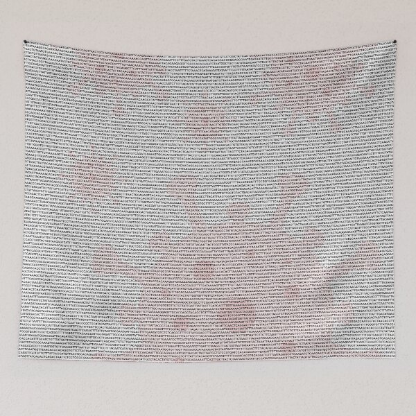 Item preview, Sars-CoV-2 COVID-19 Virus Full Genomic Sequence designed and sold by Groenendijk.