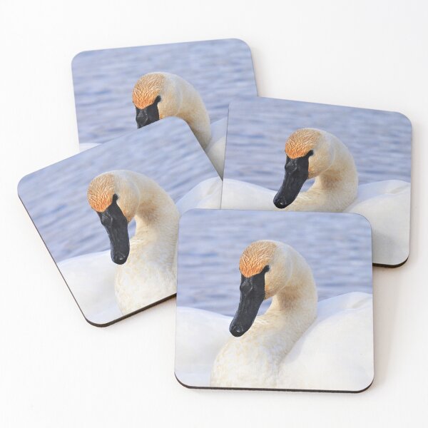 Item preview, Trumpeter Swan designed and sold by mylensflow.
