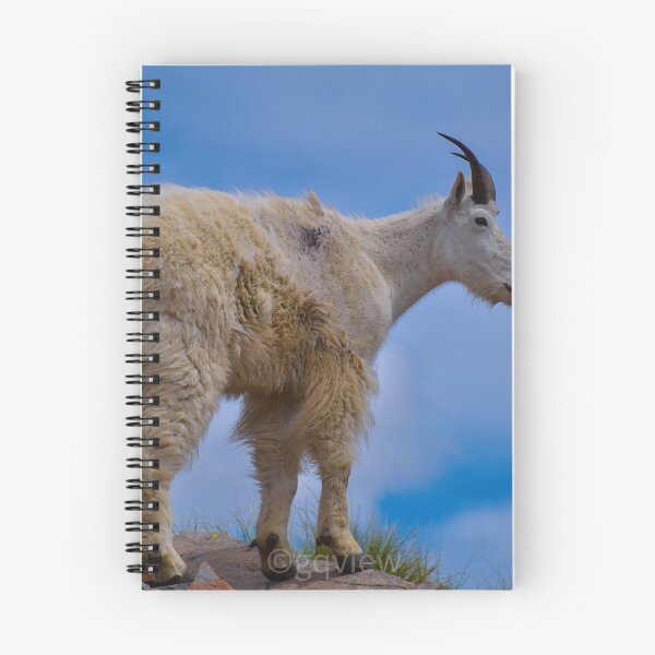 Item preview, Idaho mountain goat designed and sold by GQViews.