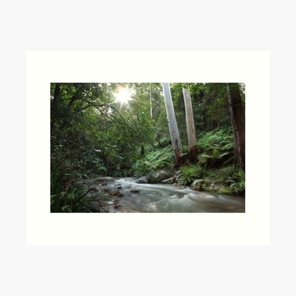 Item preview, Rainforest Stream  designed and sold by Annmb78.