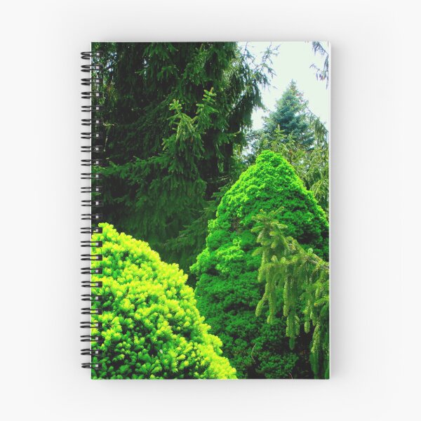 Item preview, Evergreens In The Arboretum designed and sold by artfulnotebook.