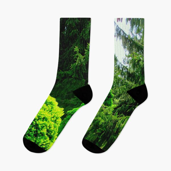 Item preview, Evergreens In The Arboretum designed and sold by artfulnotebook.