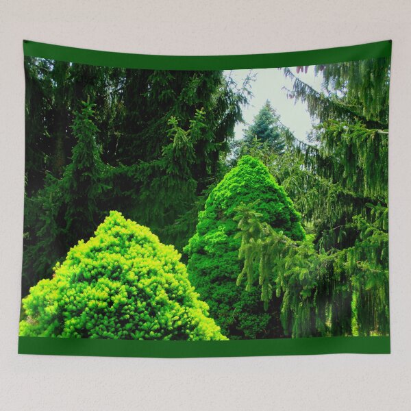 Item preview, Evergreens In The Arboretum designed and sold by artfulnotebook.