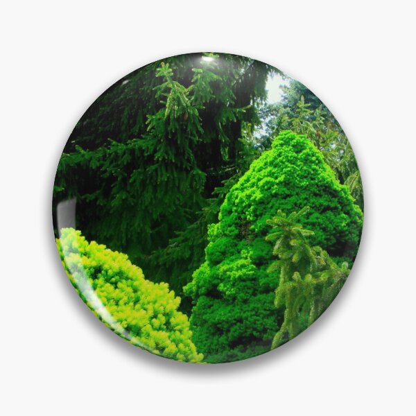 Item preview, Árboles de hoja perenne en el arboreto designed and sold by artfulnotebook.