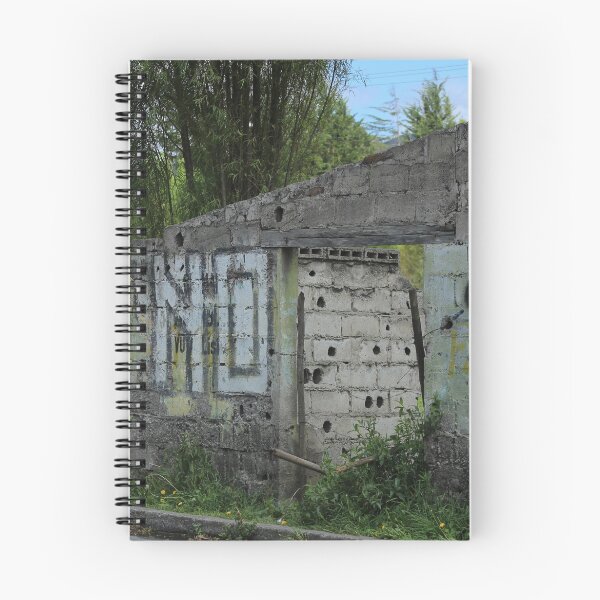 Item preview, Demolished Building in a Pasture designed and sold by rhamm.