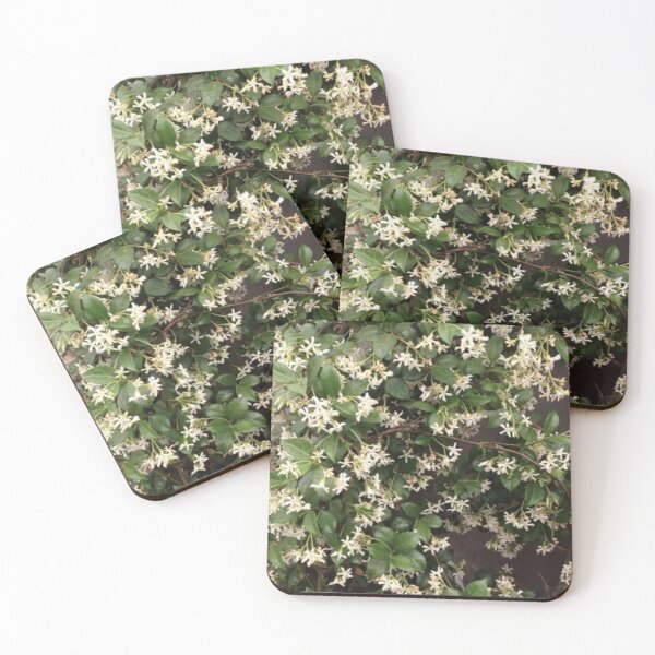 Item preview, Jasmine White Flowers designed and sold by R. Leon | Aurora & Douglas.