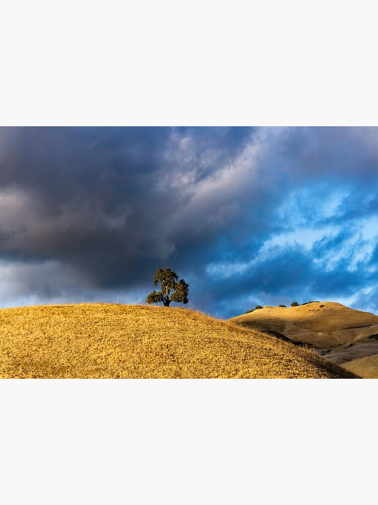 Calm before the storm by LanceWilson