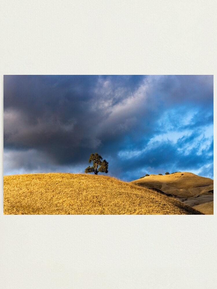 Alternate view of Calm before the storm Photographic Print