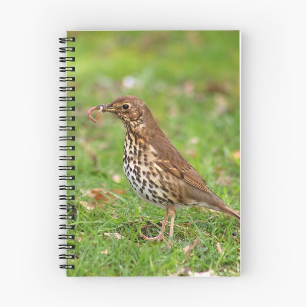 Item preview, Song Thrush with earthworms designed and sold by GreyFeatherPhot.
