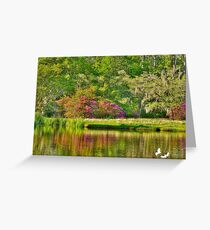 Another area of the pond Greeting Card